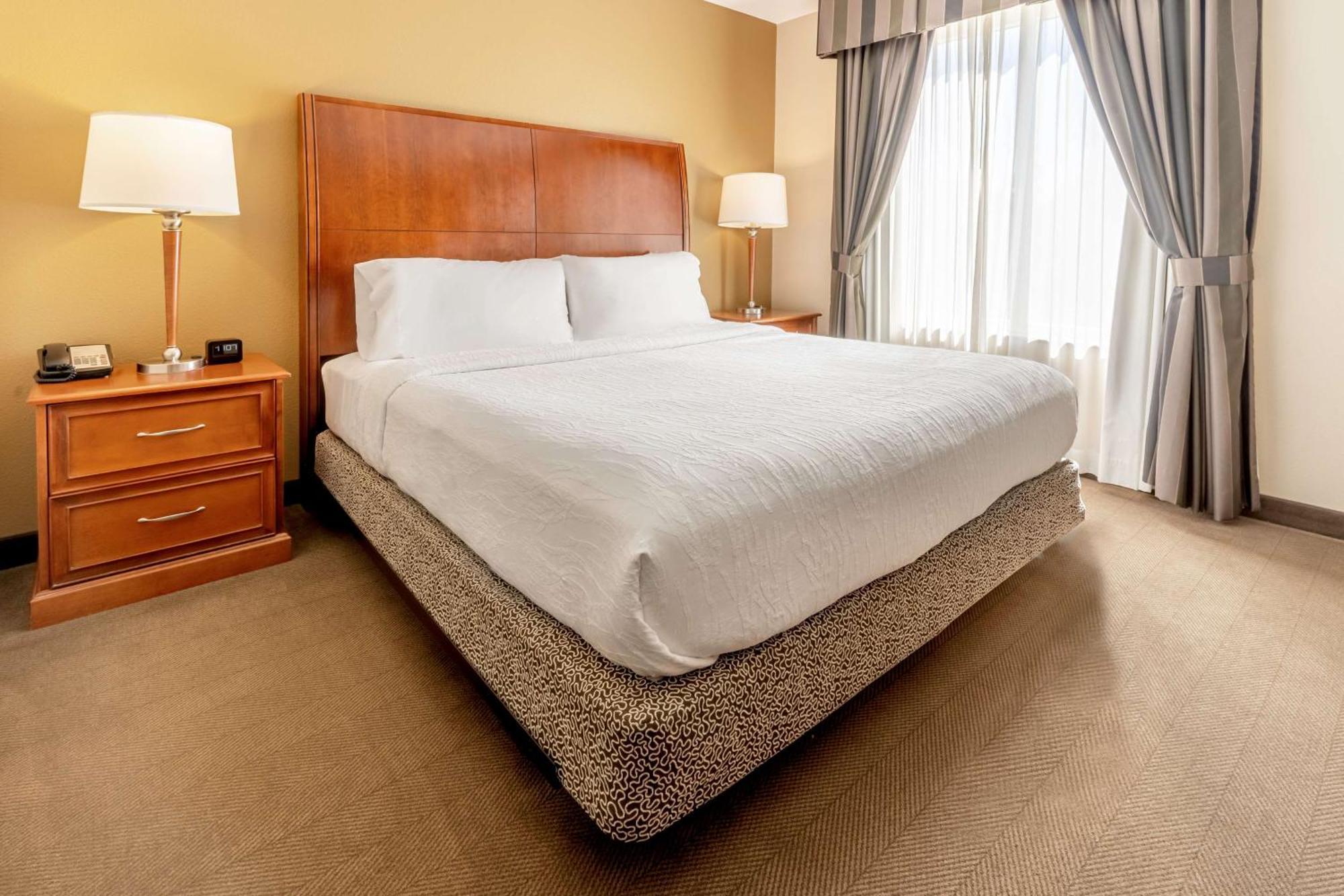 Hilton Garden Inn Houston/The Woodlands Zewnętrze zdjęcie