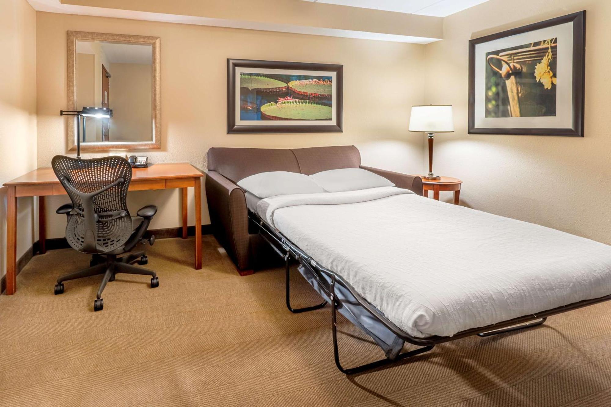 Hilton Garden Inn Houston/The Woodlands Zewnętrze zdjęcie