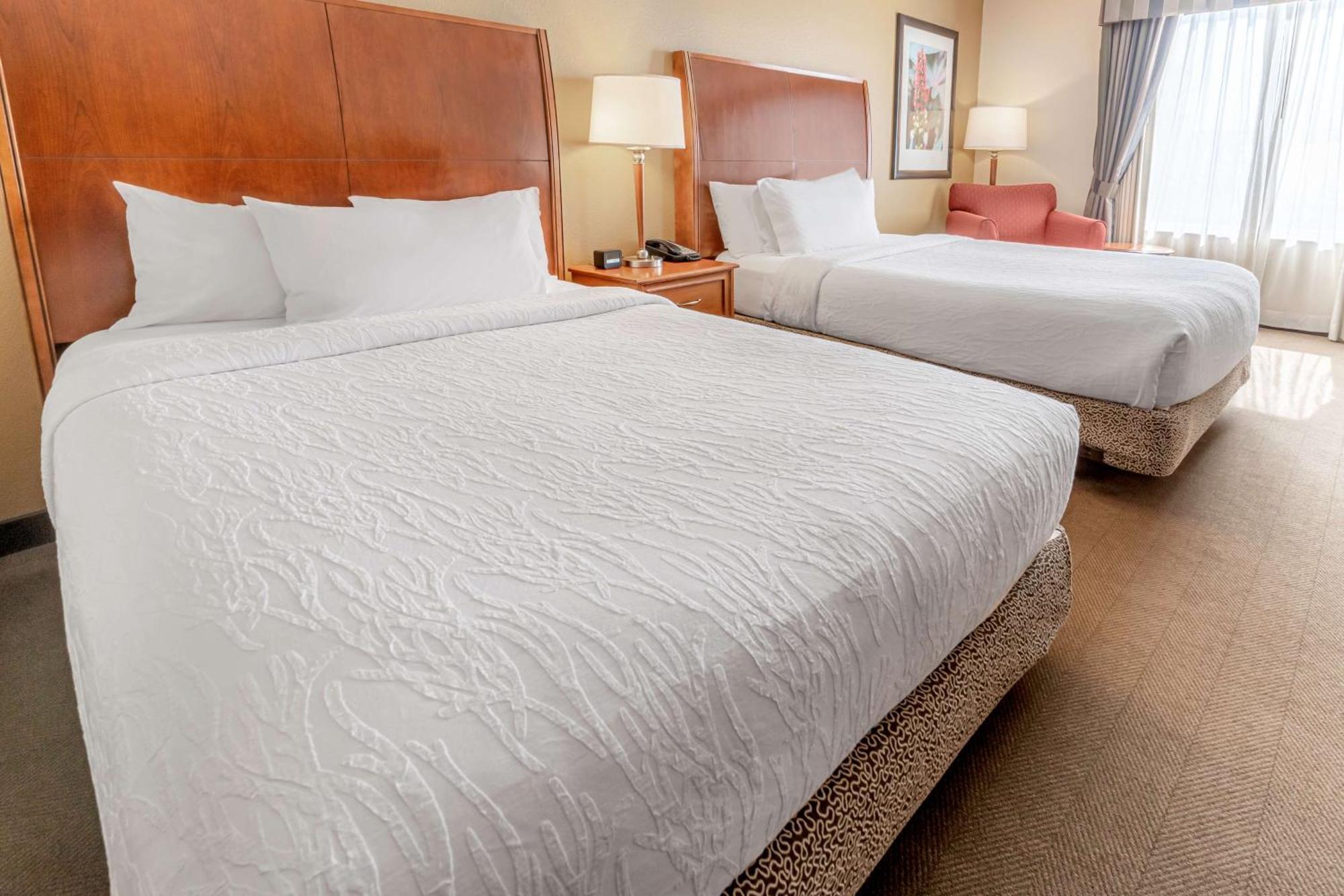 Hilton Garden Inn Houston/The Woodlands Zewnętrze zdjęcie