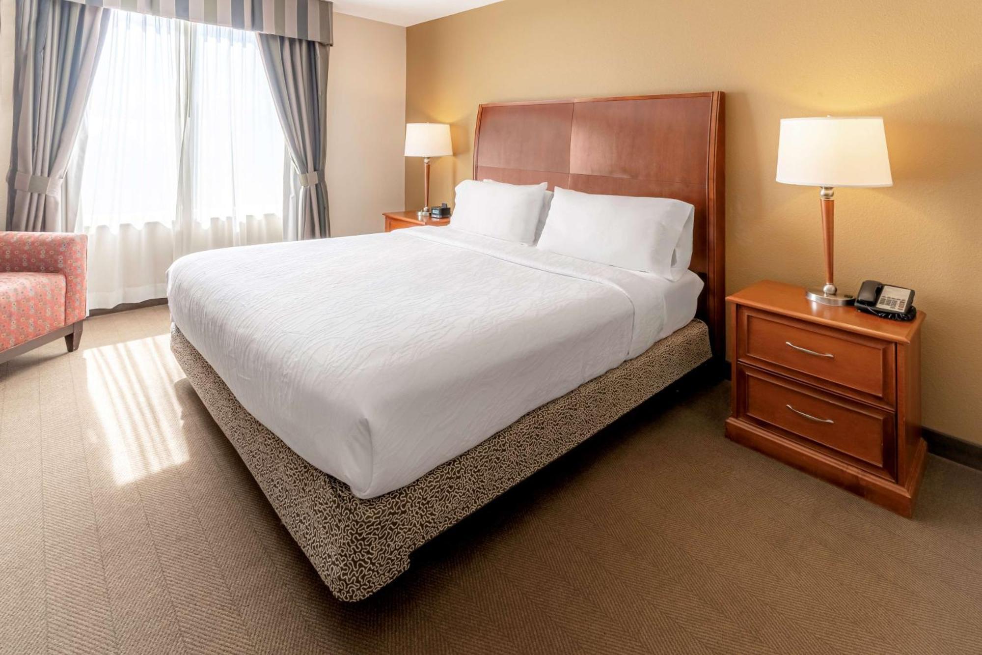Hilton Garden Inn Houston/The Woodlands Zewnętrze zdjęcie